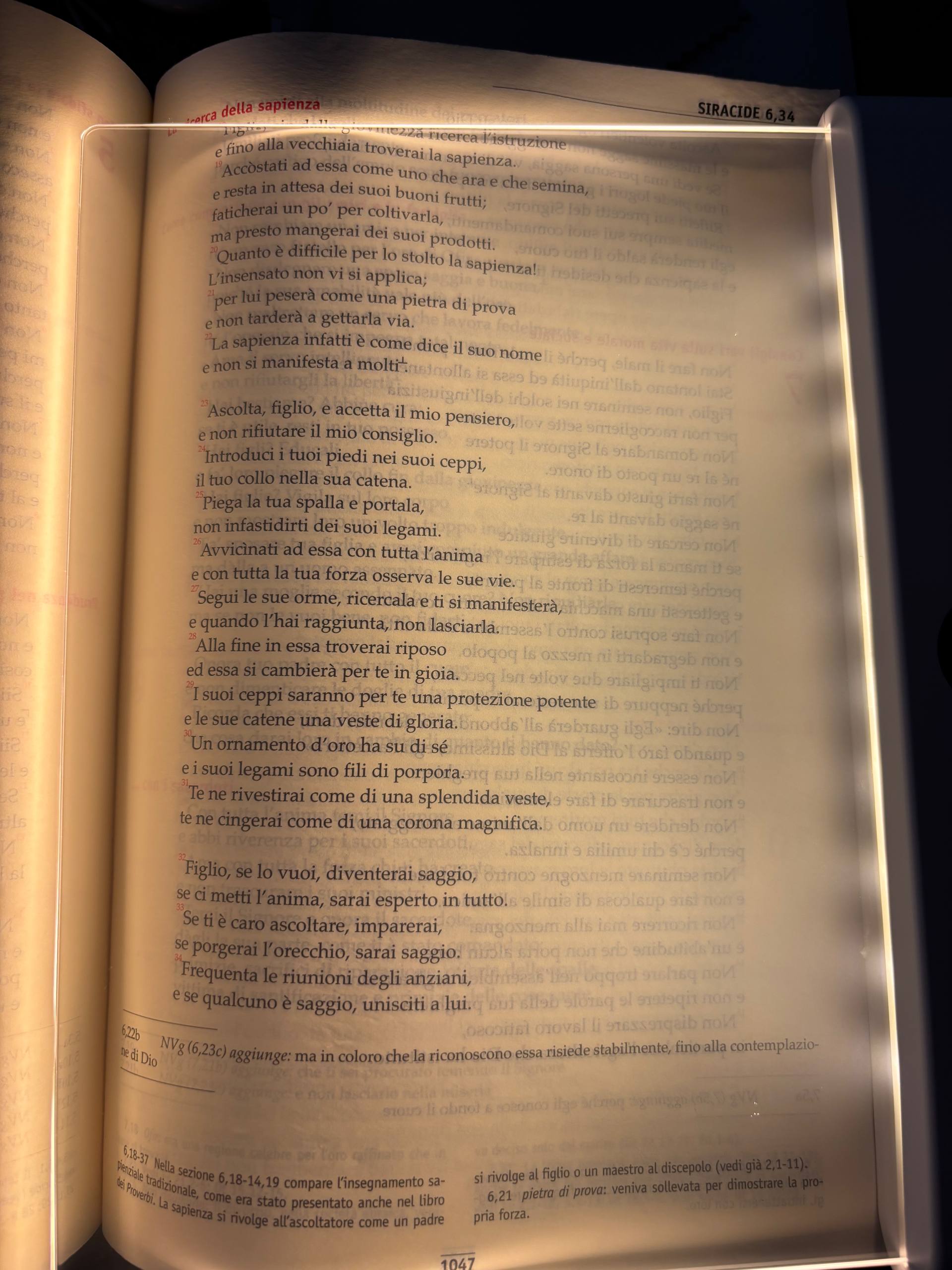 Luce di lettura LED ricaricabile  - Leggi ovunque senza disturbare chi ti sta accanto